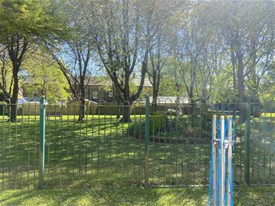 Picture 20